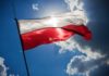 Polskie sukienki. Ciekawe rodzime marki