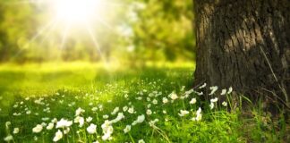 Do czego pasują białe buty damskie?