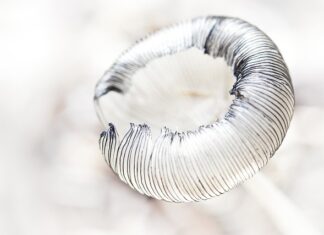 Czy kreski pomniejszają oczy?