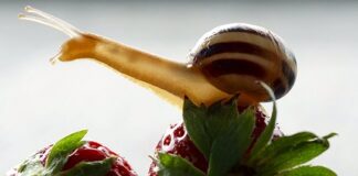 Ile kosztuje rozciągnięcie butów?