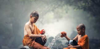 Jaki zestaw do czyszczenia Sneakersów?