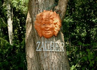 Czy spirytus niszczy grzyby? Czy spirytus niszczy grzyby?