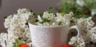 Ile za talerzyk na wesele 2024?