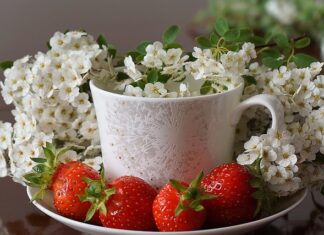 Ile za talerzyk na wesele 2024?