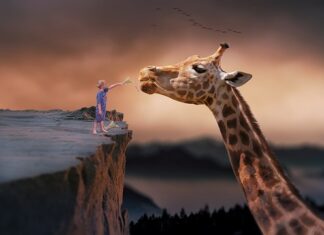 Czy da się żyć bez dwóch nerek? Czy da się żyć bez dwóch nerek?