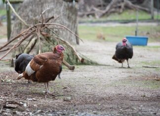 Jak pozbyć się zgrubień na stopach?
