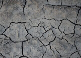 Czym smarować Popękana skórę?