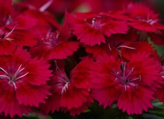 Jak zrobić kreskę kredka na górnej powiece?