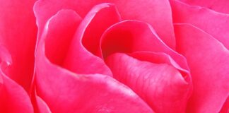 Jak usunąć zacieki na trampkach?