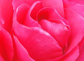 Jak usunąć zacieki na trampkach?