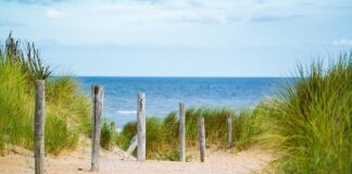 Jak pogrubić bardzo cienkie włosy?