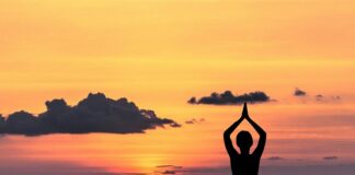 Ile kosztuje mózg cena?