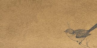 Jak prawidłowo dobrać mankiet do ciśnieniomierza?