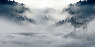 Jakie rękawiczki na zimę na rower?