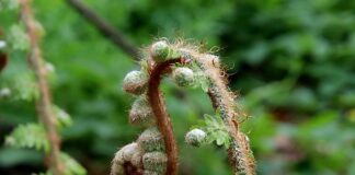 Jak wyprostować zagięcia na butach?