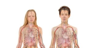 Jak odróżnić ból nerek od bólu kręgosłupa?