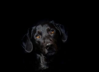 Co jest bardziej szkodliwe hybryda czy żel? Co jest bardziej szkodliwe hybryda czy żel?