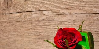 Jak zrobić szkatułkę z kartonu?