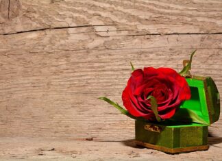 Jak zrobić szkatułkę z kartonu? Jak zrobić szkatułkę z kartonu?