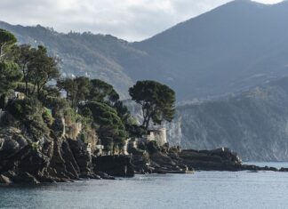 Ile kosztuje ściąganie koloru z włosów u fryzjera?