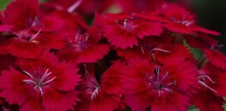 Jak ładnie zrobić kreskę na oku?