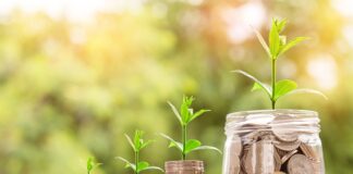 Czy pieniądze z wesela trzeba zgłaszać?