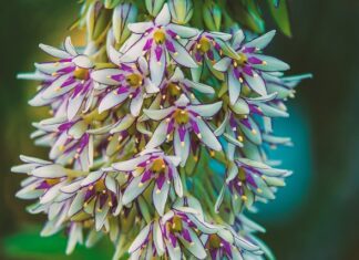 Czy wypada iść w kozakach na sylwestra? Czy wypada iść w kozakach na sylwestra?