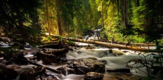 Czy wełniane rękawiczki są ciepłe?