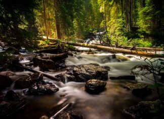 Czy wełniane rękawiczki są ciepłe?