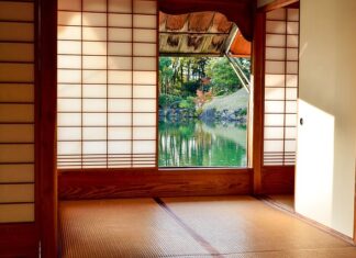 Czy brak jednej nerki to niepełnosprawność? Czy brak jednej nerki to niepełnosprawność?