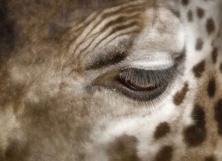Jak wyrównać plamy po schodzącej skórze?