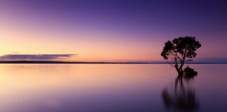 Czym można zastąpić wodę po goleniu?