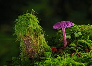 Jak długo trzymać farbę rozjaśniająca?