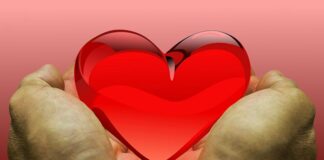 Ile dostaje się za oddanie nerki?