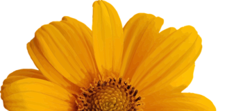 Jak zawsze wyglądać pięknie?