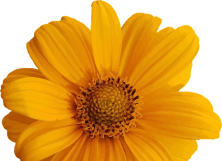 Jak zawsze wyglądać pięknie?