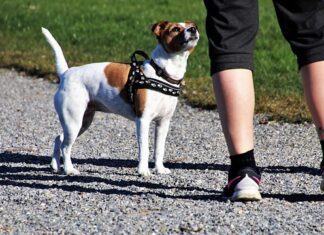 Jakie adidasy modne w 2023?