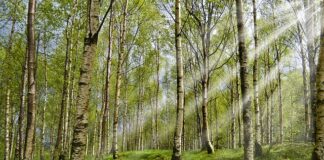 Jakie rękawiczki dla alergików?