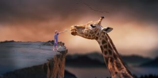 Czy da się żyć z jedną nerka?