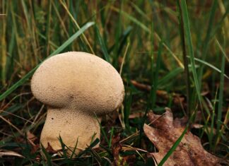 Jak pozbyć się worków pod oczami domowe sposoby?