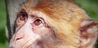 Jak dobrze wyglądać po 70?