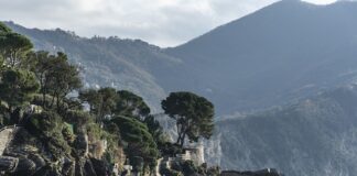 Ile kosztuje zrobienie przypinki?