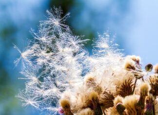 Jak zamaskować zarysowania na butach?