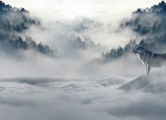 Jakie rękawice taktyczne na zimę?