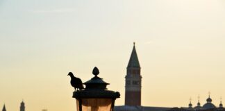 Co do rozciągania butów?