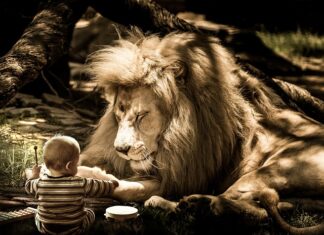 Jaka fryzura zwiększa objętość włosów?